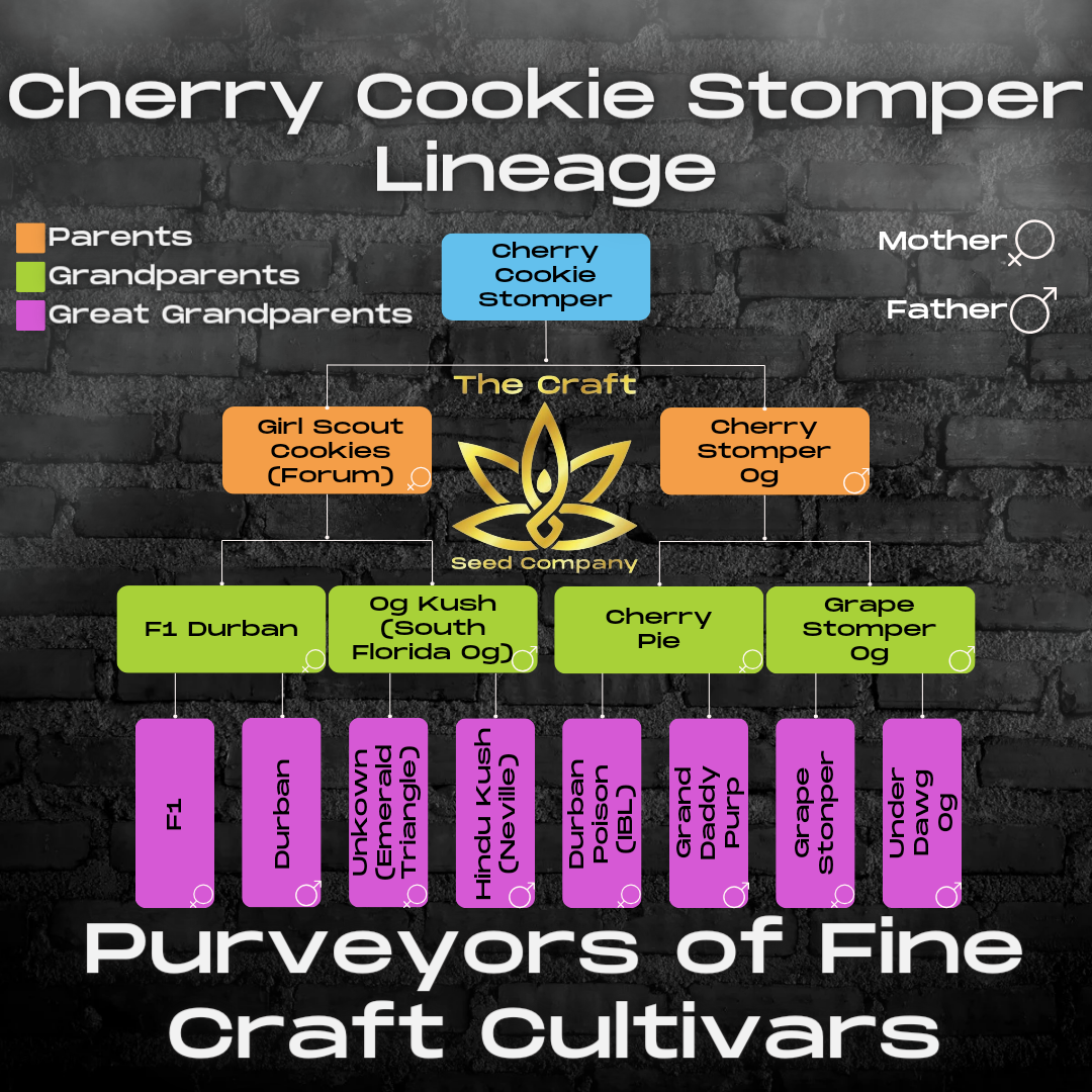 Cherry Cookie Stomper