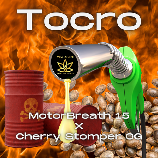 Torco Seeds