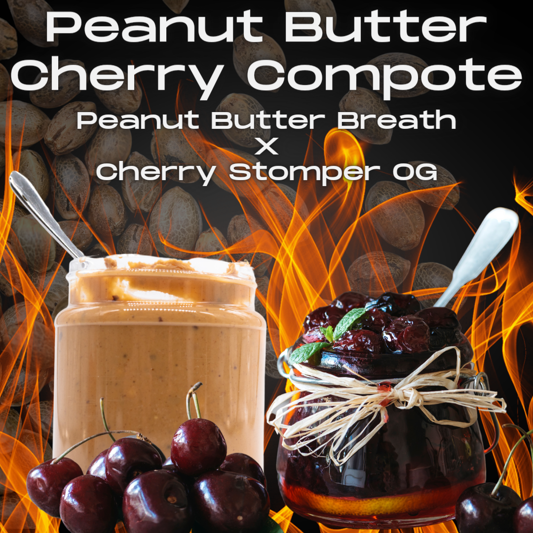 Peanut Butter Cherry Compote Seeds