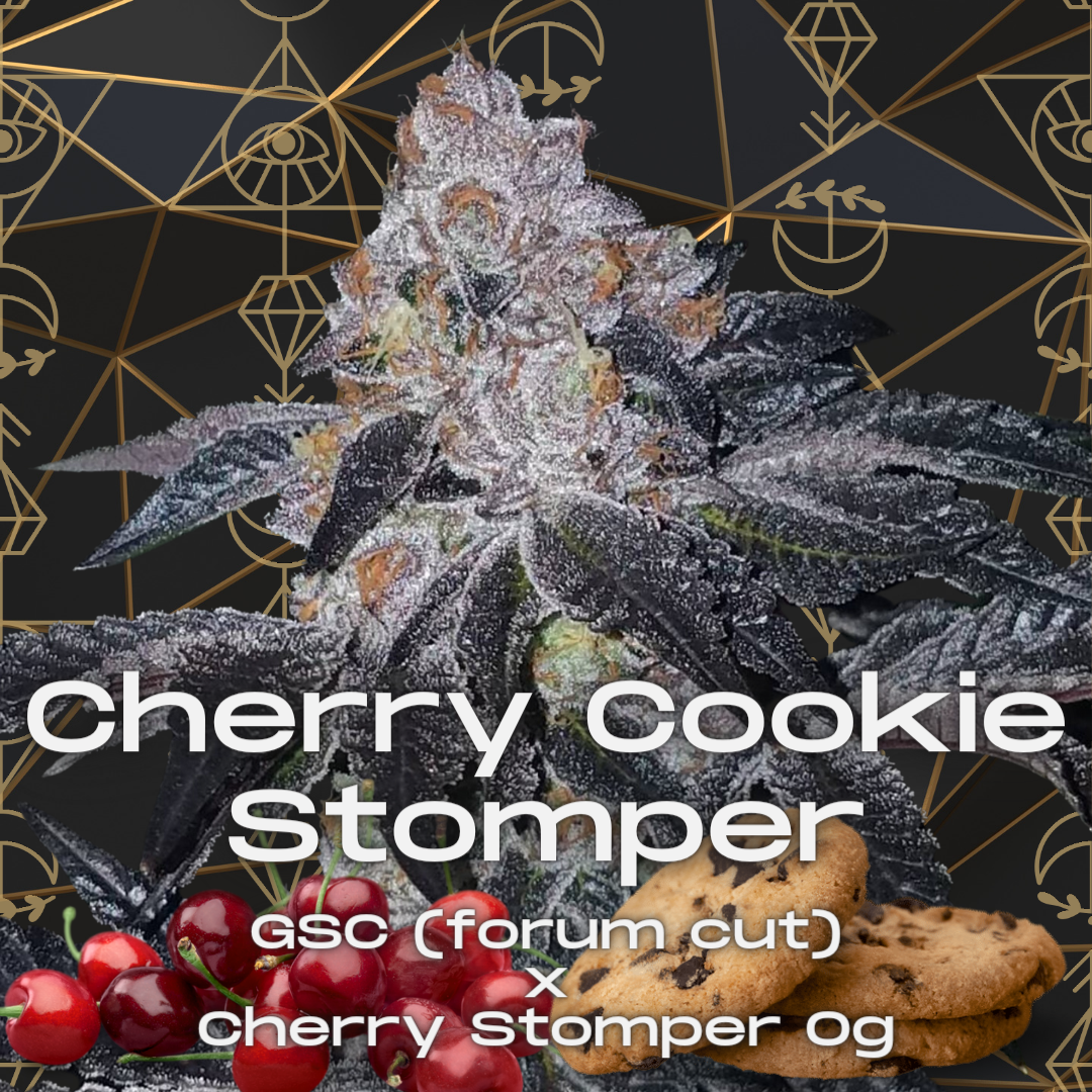 Cherry Cookie Stomper