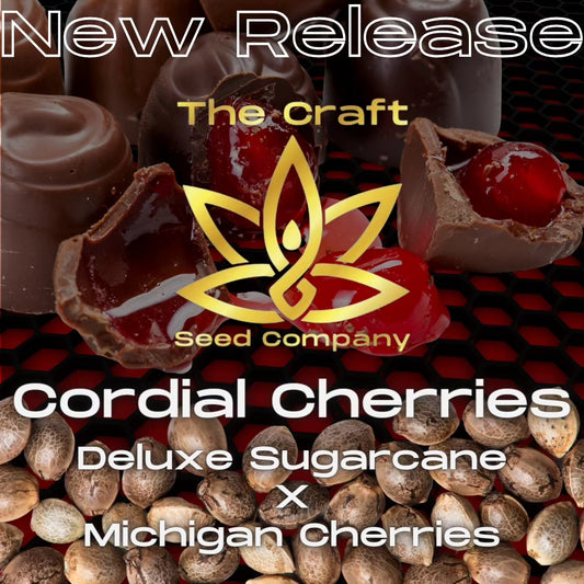 Cordial Cherries Seeds