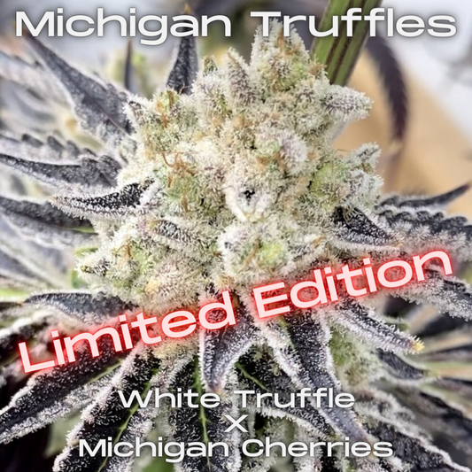 Michigan Truffles Seeds