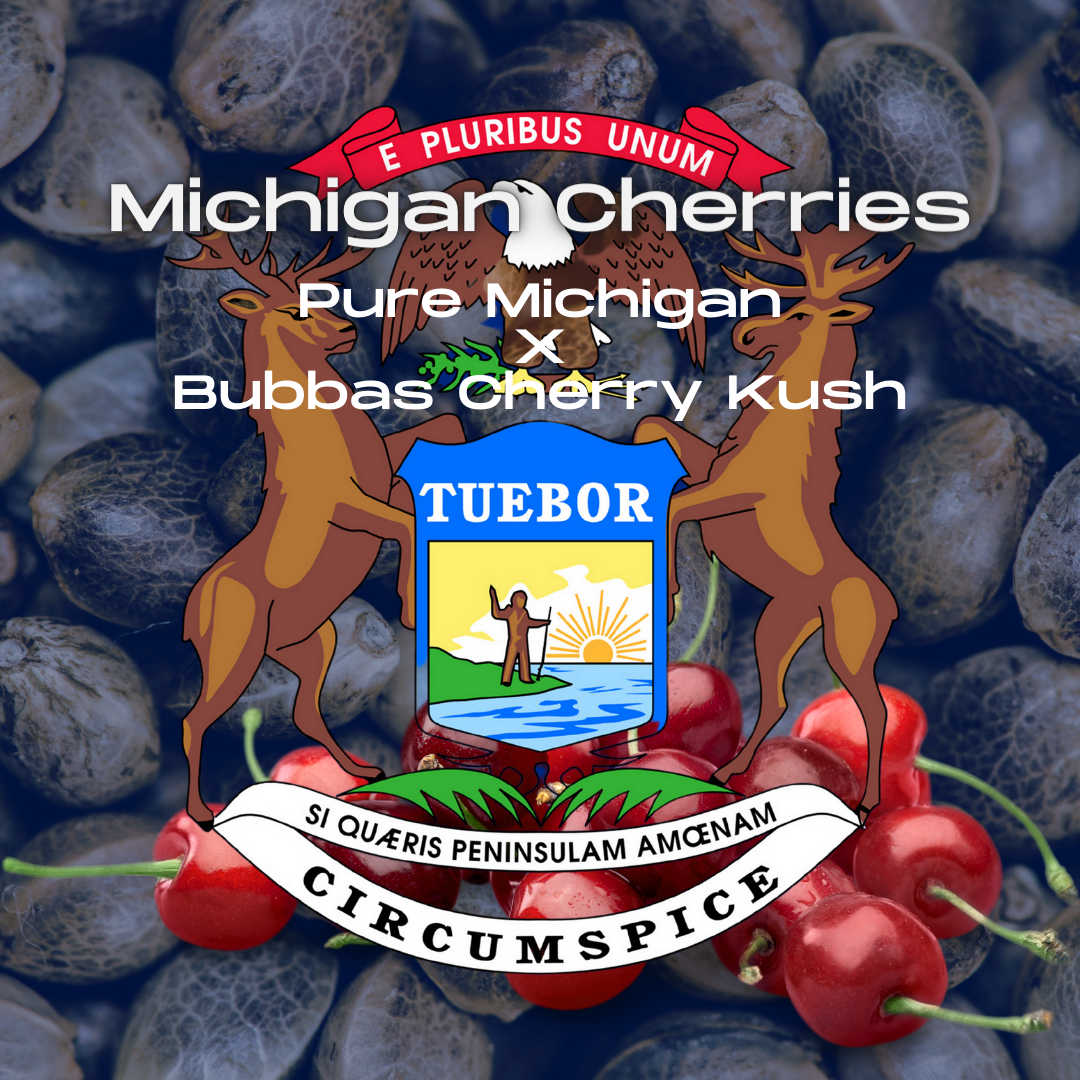 Michigan Cherries Seeds