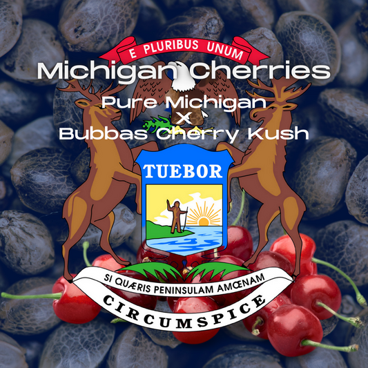 Michigan Cherries Seeds